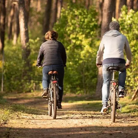 Seepark Heidenholz, Plau Am Feriehus