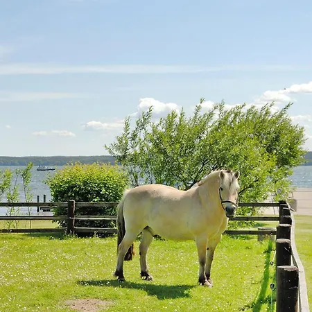 Seepark Heidenholz, Plau Am Ferienhaus