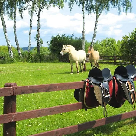 Ferienhaus Seepark Heidenholz, Plau Am *