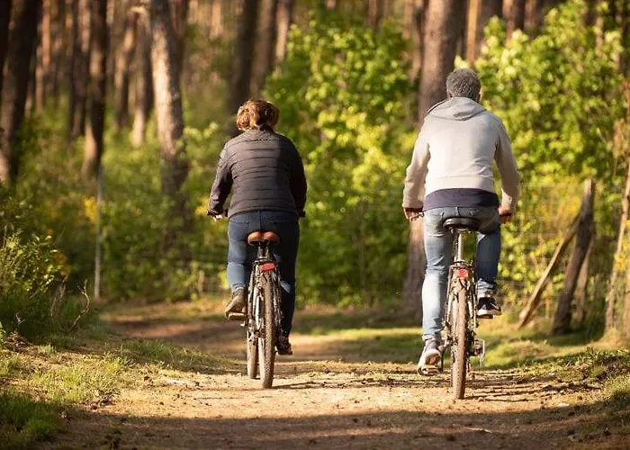 Seepark Heidenholz, Plau Am Dom wakacyjny