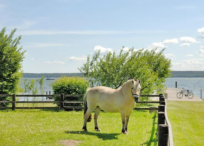 Seepark Heidenholz, Plau Am Dom wakacyjny